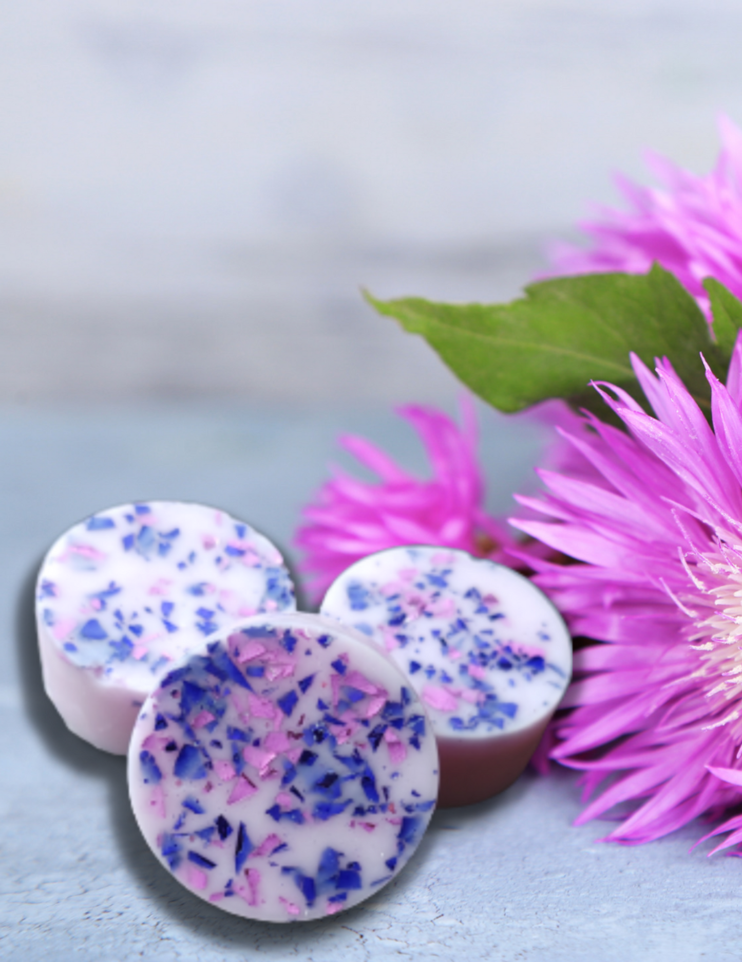 SPARKLING LILAC WAX MELTS